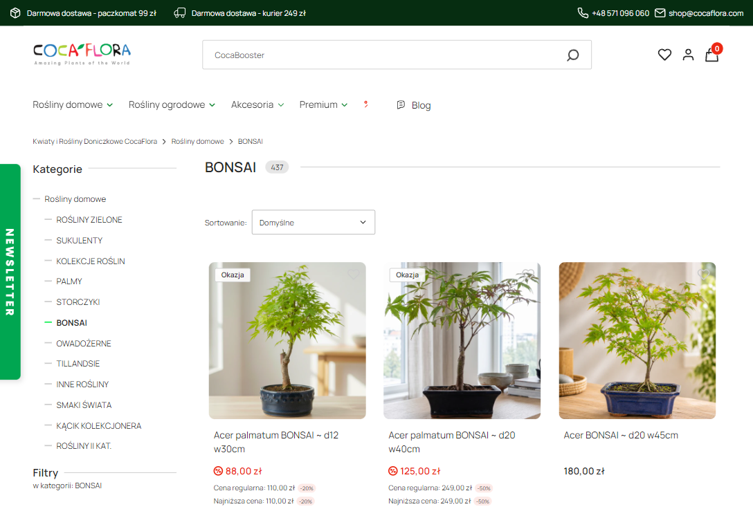 Jakie bonsai wybrać do mieszkania, a jakie lepiej rośnie na zewnątrz?