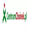 Logo firmy Choinki sztuczne - hurtownia, producent | Sklep internetowy Choinki.istore.pl